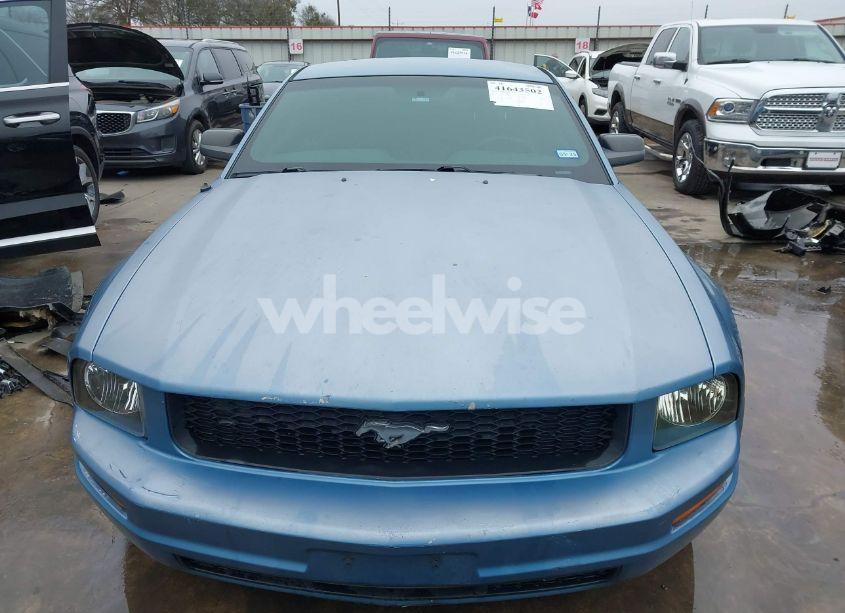 Photo 12 of 2007 Ford Mustang V6 DELUXE/V6 PREMIUM (VIN 1ZVFT80N975231968)