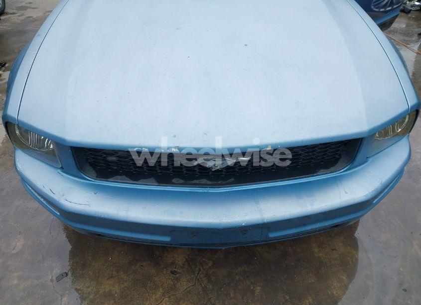 Photo 19 of 2007 Ford Mustang V6 DELUXE/V6 PREMIUM (VIN 1ZVFT80N975231968)
