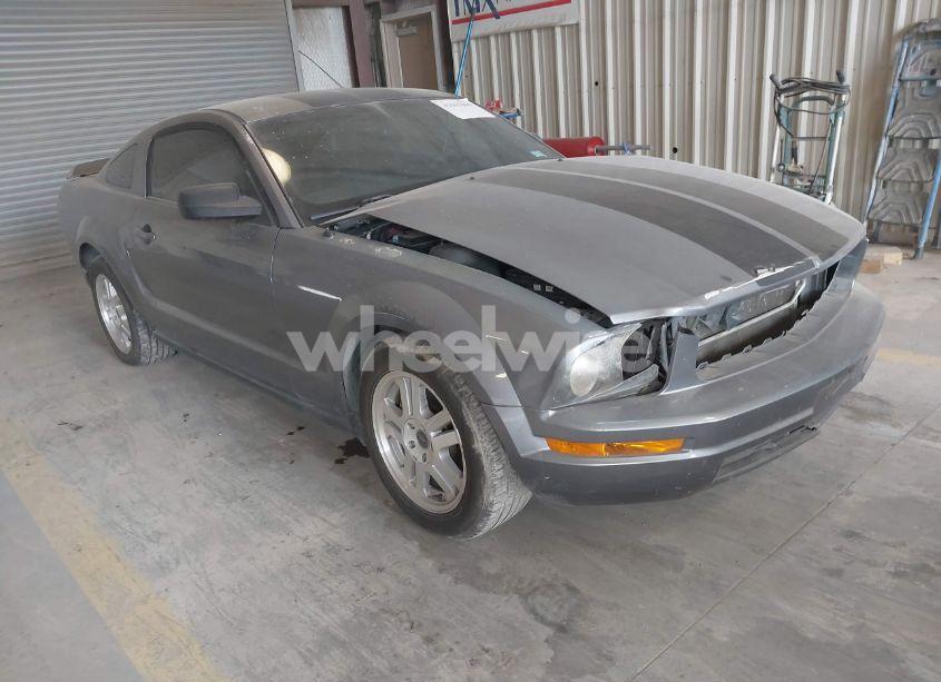 2007 Ford Mustang V6 DELUXE/V6 PREMIUM (VIN 1ZVFT80N975246907) main photo