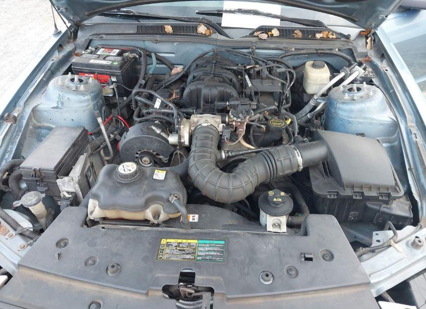 Photo 10 of 2007 Ford Mustang V6 DELUXE/V6 PREMIUM (VIN 1ZVFT80N975269457)