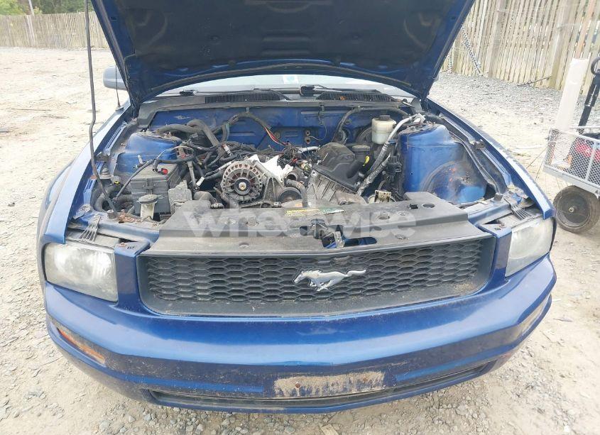 Photo 6 of 2007 Ford Mustang V6 DELUXE/V6 PREMIUM (VIN 1ZVFT80N975270219)