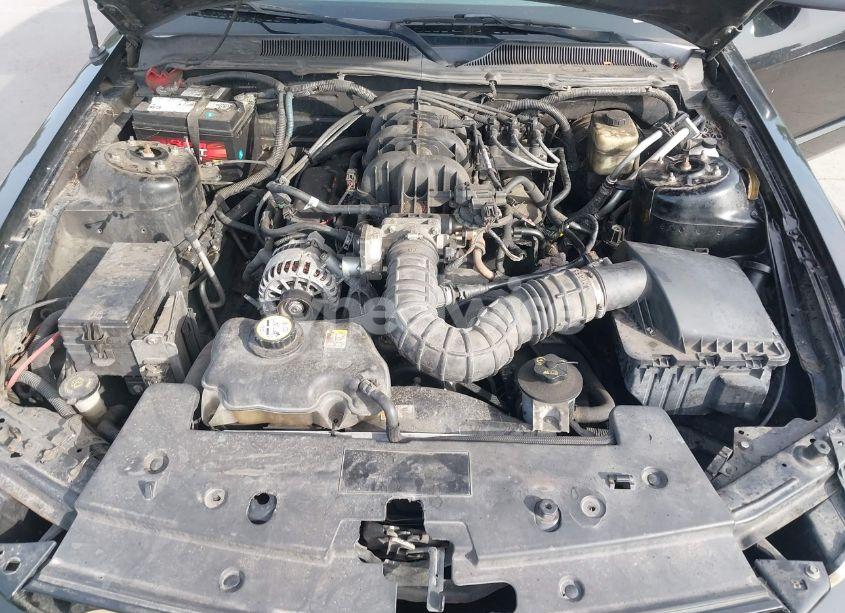 Photo 10 of 2007 Ford Mustang V6 DELUXE/V6 PREMIUM (VIN 1ZVFT80N975282483)