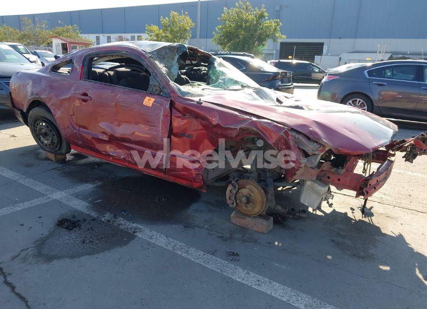 2007 Ford Mustang (VIN 1ZVFT80N975298733) main photo