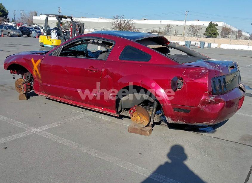 Photo 3 of 2007 Ford Mustang (VIN 1ZVFT80N975298733)