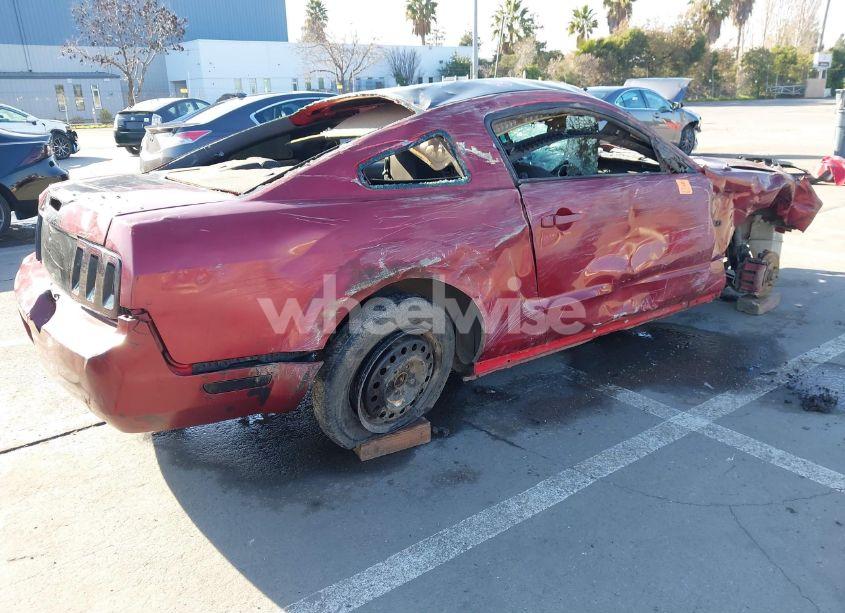 Photo 4 of 2007 Ford Mustang (VIN 1ZVFT80N975298733)