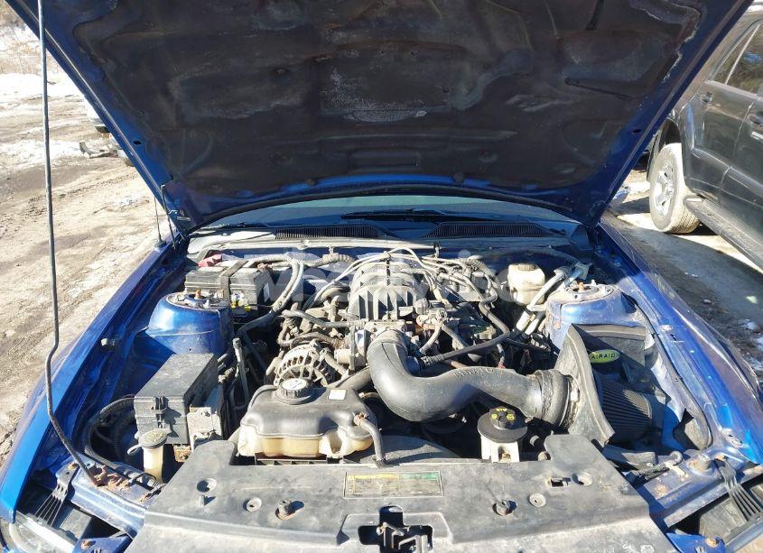 Photo 10 of 2007 Ford Mustang V6 DELUXE/V6 PREMIUM (VIN 1ZVFT80N975312713)