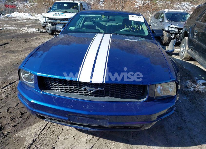 Photo 13 of 2007 Ford Mustang V6 DELUXE/V6 PREMIUM (VIN 1ZVFT80N975312713)