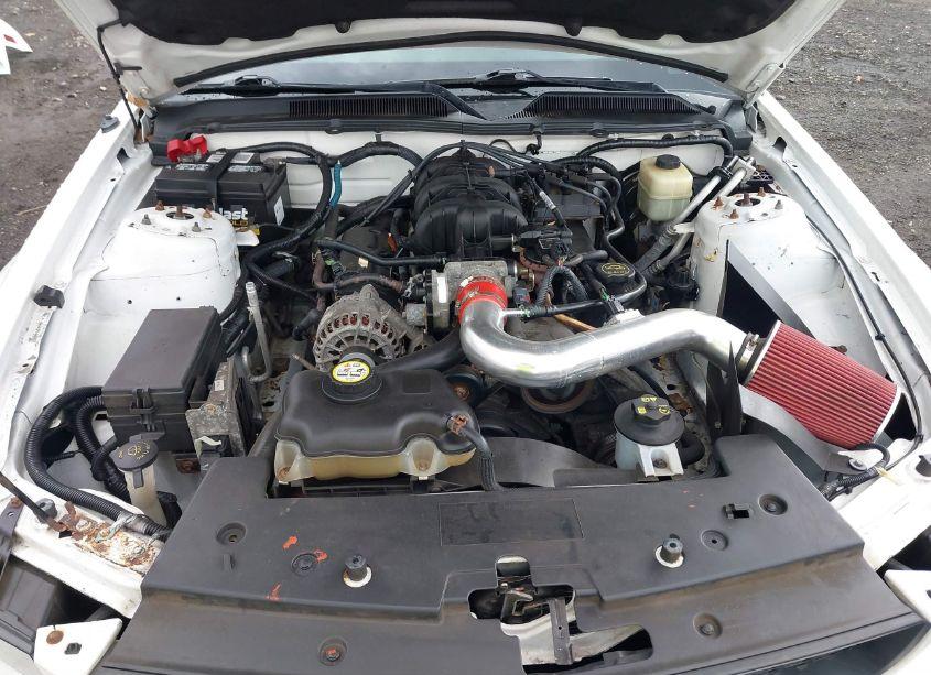 Photo 10 of 2007 Ford Mustang V6 DELUXE/V6 PREMIUM (VIN 1ZVFT80N975358736)