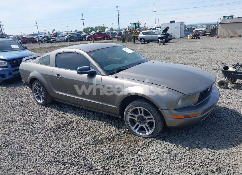 2005 Ford Mustang V6 DELUXE/V6 PREMIUM (VIN 1ZVFT80NX55110332) main photo