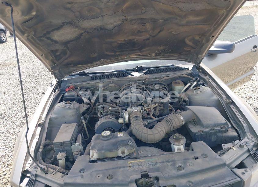 Photo 10 of 2005 Ford Mustang V6 DELUXE/V6 PREMIUM (VIN 1ZVFT80NX55110332)