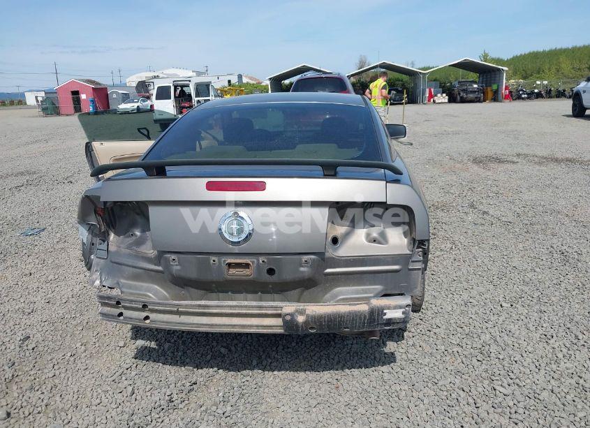 Photo 6 of 2005 Ford Mustang V6 DELUXE/V6 PREMIUM (VIN 1ZVFT80NX55110332)