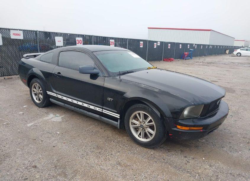 2005 Ford Mustang V6 DELUXE/V6 PREMIUM (VIN 1ZVFT80NX55167498) main photo