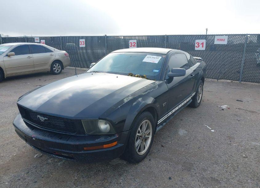 Photo 6 of 2005 Ford Mustang V6 DELUXE/V6 PREMIUM (VIN 1ZVFT80NX55167498)