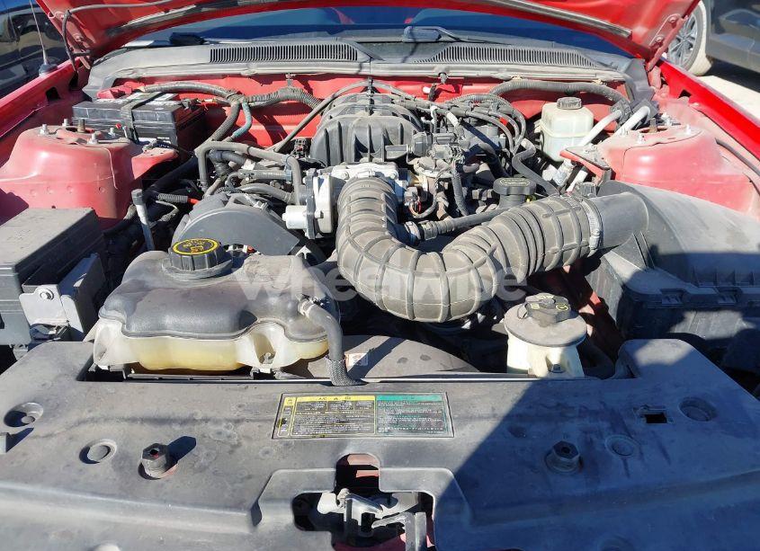 Photo 10 of 2005 Ford Mustang V6 DELUXE/V6 PREMIUM (VIN 1ZVFT80NX55208583)