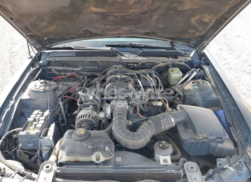 Photo 10 of 2005 Ford Mustang V6 DELUXE/V6 PREMIUM (VIN 1ZVFT80NX55237811)