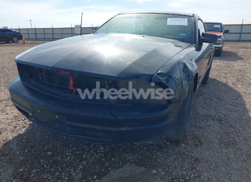 Photo 6 of 2005 Ford Mustang V6 DELUXE/V6 PREMIUM (VIN 1ZVFT80NX55237811)