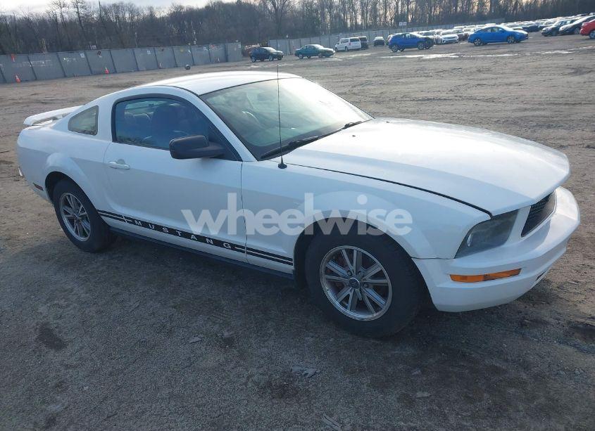 2005 Ford Mustang V6 DELUXE/V6 PREMIUM (VIN 1ZVFT80NX55249389) main photo