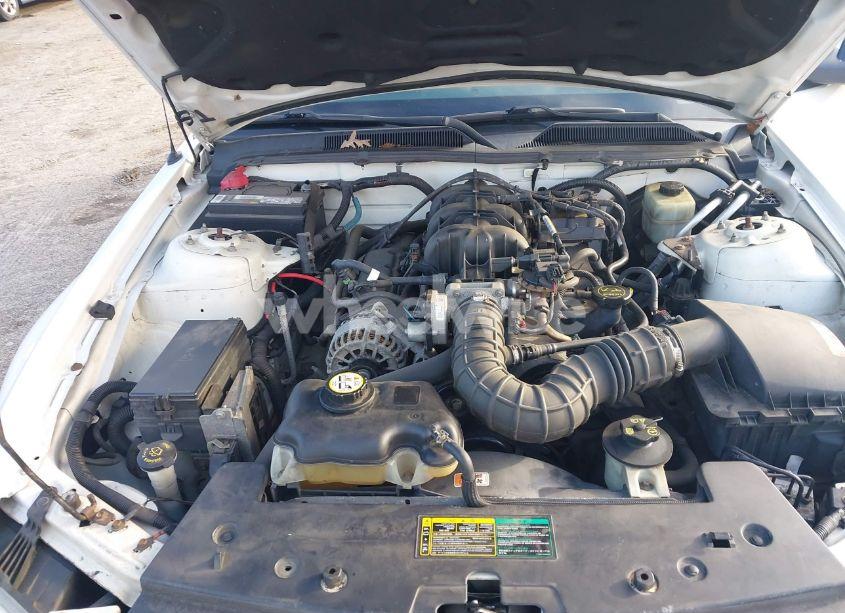 Photo 10 of 2005 Ford Mustang V6 DELUXE/V6 PREMIUM (VIN 1ZVFT80NX55249389)