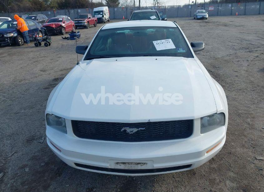 Photo 12 of 2005 Ford Mustang V6 DELUXE/V6 PREMIUM (VIN 1ZVFT80NX55249389)