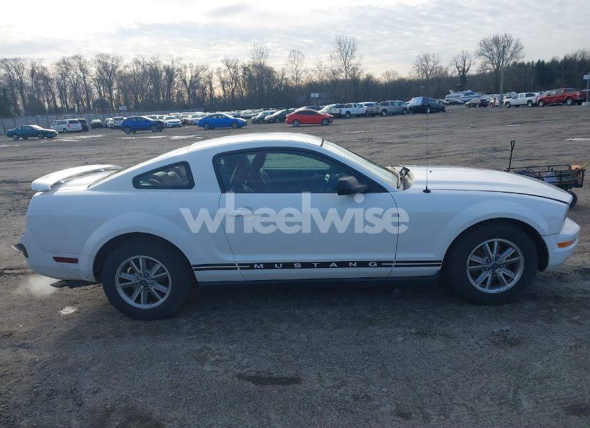 Photo 13 of 2005 Ford Mustang V6 DELUXE/V6 PREMIUM (VIN 1ZVFT80NX55249389)