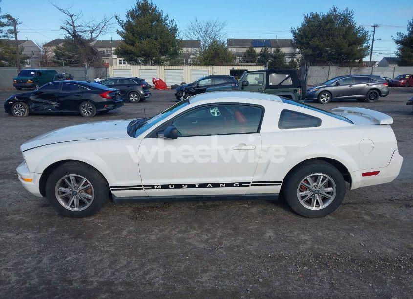 Photo 14 of 2005 Ford Mustang V6 DELUXE/V6 PREMIUM (VIN 1ZVFT80NX55249389)