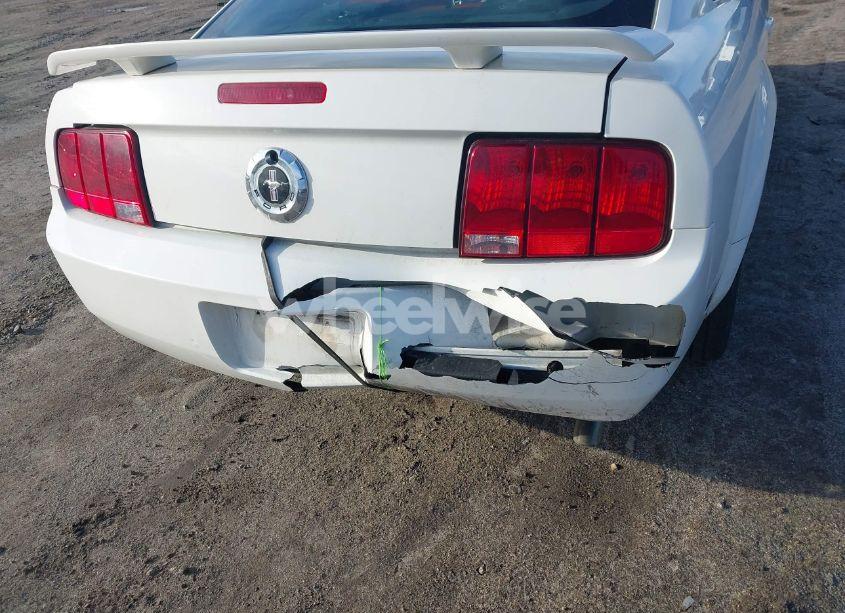 Photo 6 of 2005 Ford Mustang V6 DELUXE/V6 PREMIUM (VIN 1ZVFT80NX55249389)