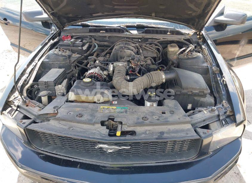 Photo 10 of 2006 Ford Mustang V6 (VIN 1ZVFT80NX65122031)