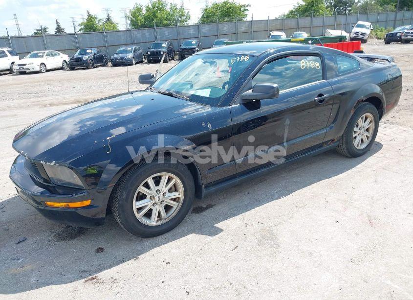 Photo 2 of 2006 Ford Mustang V6 (VIN 1ZVFT80NX65122031)