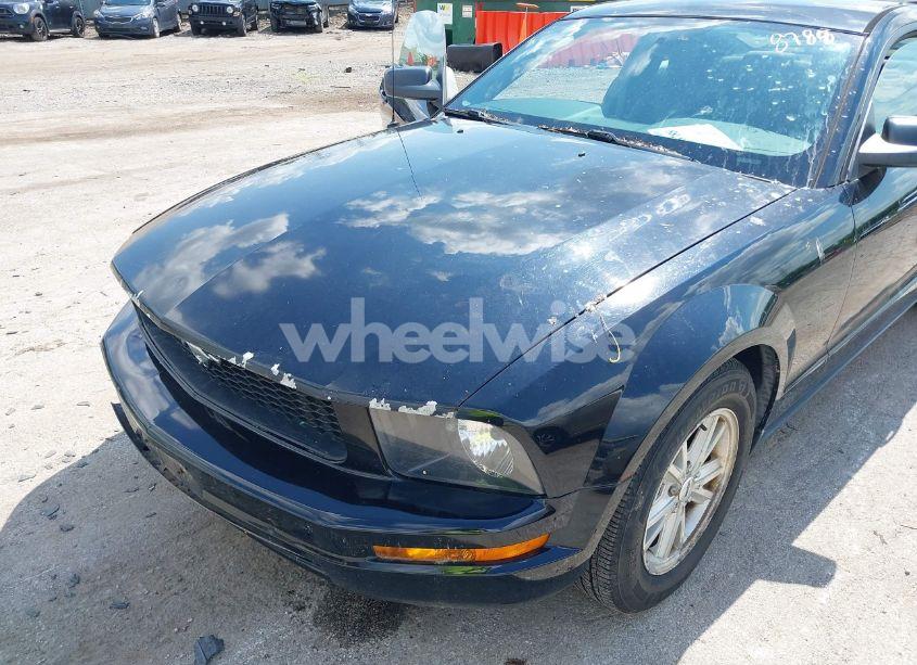 Photo 6 of 2006 Ford Mustang V6 (VIN 1ZVFT80NX65122031)