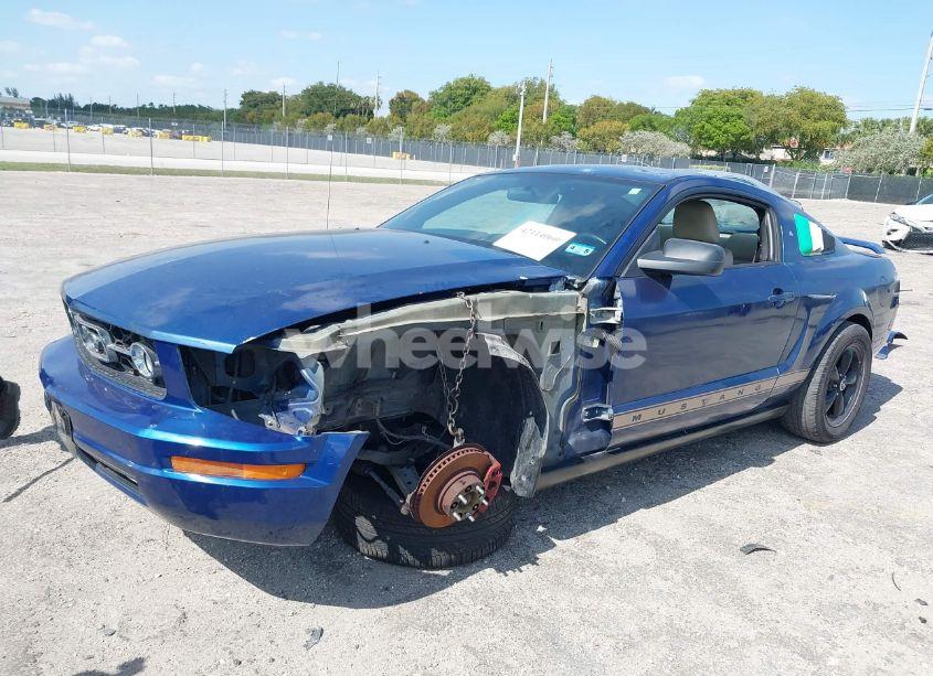 Photo 2 of 2006 Ford Mustang V6 (VIN 1ZVFT80NX65129626)