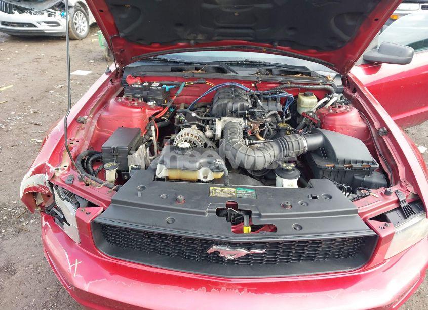 Photo 10 of 2006 Ford Mustang V6 (VIN 1ZVFT80NX65137435)
