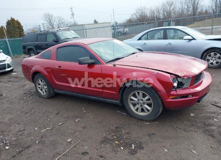 Photo 13 of 2006 Ford Mustang V6 (VIN 1ZVFT80NX65137435)