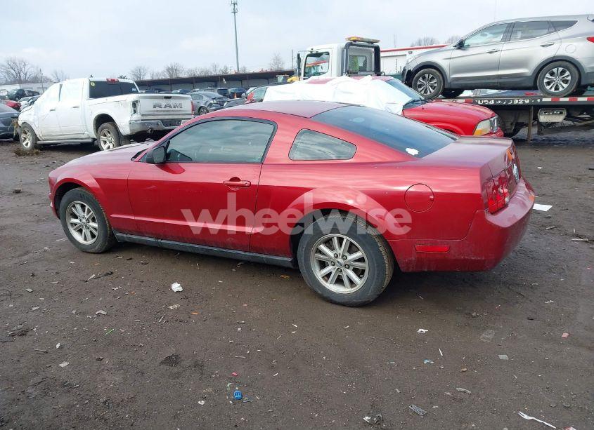 Photo 14 of 2006 Ford Mustang V6 (VIN 1ZVFT80NX65137435)