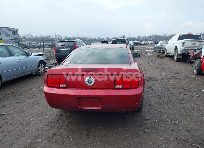 Photo 16 of 2006 Ford Mustang V6 (VIN 1ZVFT80NX65137435)