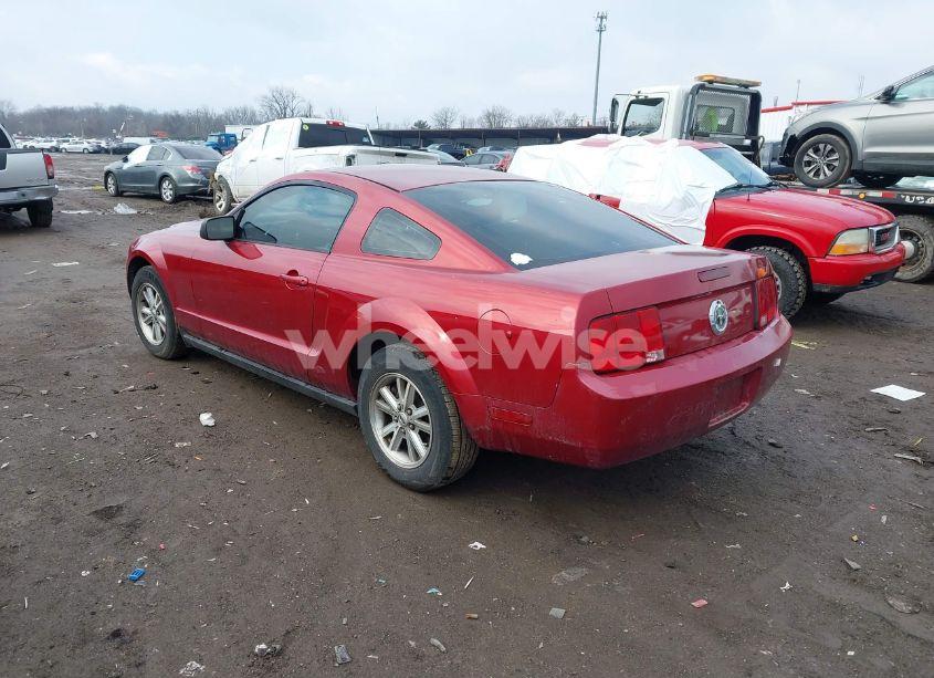 Photo 3 of 2006 Ford Mustang V6 (VIN 1ZVFT80NX65137435)