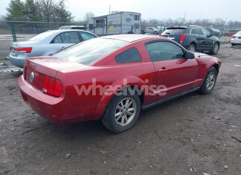 Photo 4 of 2006 Ford Mustang V6 (VIN 1ZVFT80NX65137435)