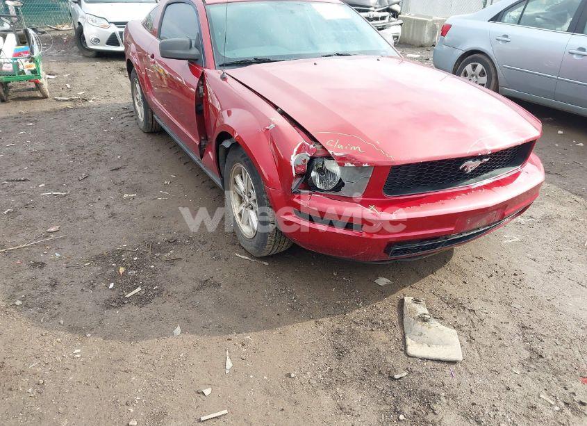 Photo 6 of 2006 Ford Mustang V6 (VIN 1ZVFT80NX65137435)