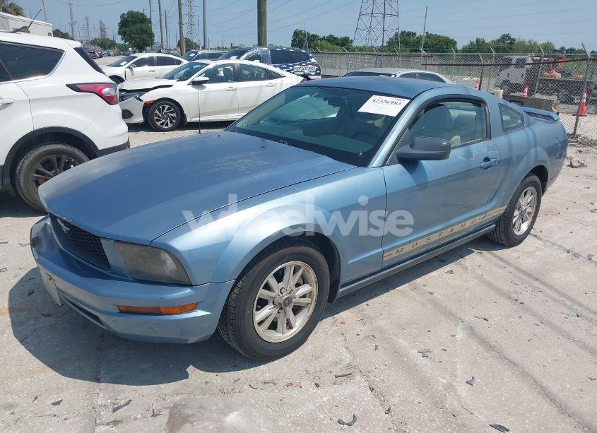 Photo 2 of 2006 Ford Mustang V6 (VIN 1ZVFT80NX65157362)