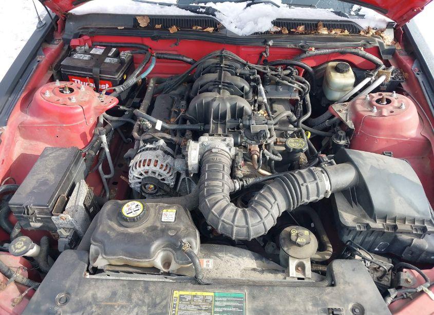 Photo 10 of 2006 Ford Mustang V6 (VIN 1ZVFT80NX65215406)