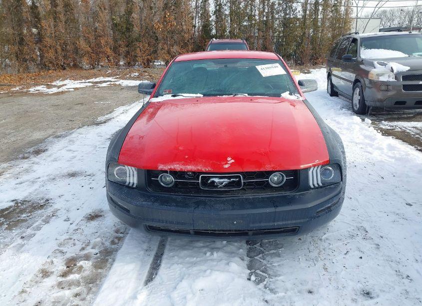 Photo 6 of 2006 Ford Mustang V6 (VIN 1ZVFT80NX65215406)