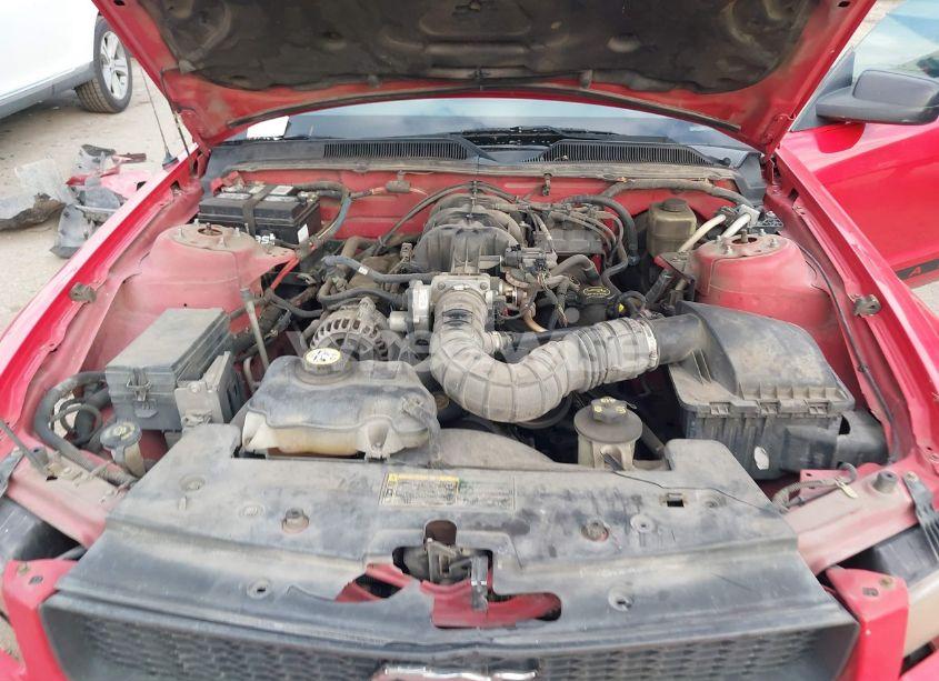 Photo 10 of 2006 Ford Mustang V6 (VIN 1ZVFT80NX65240676)