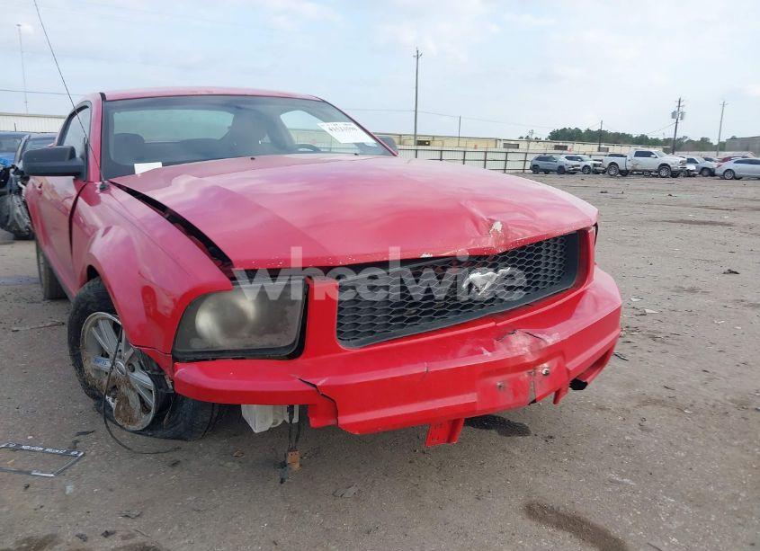 Photo 6 of 2006 Ford Mustang V6 (VIN 1ZVFT80NX65240676)