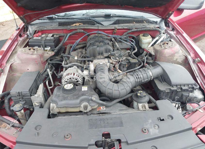 Photo 10 of 2006 Ford Mustang V6 (VIN 1ZVFT80NX65265819)