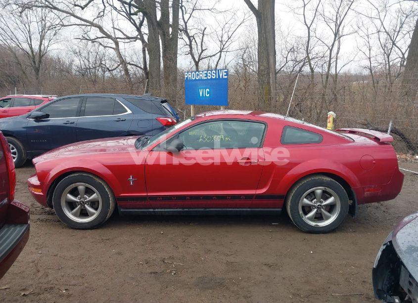 Photo 14 of 2006 Ford Mustang V6 (VIN 1ZVFT80NX65265819)