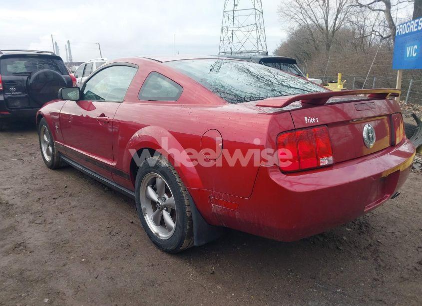 Photo 3 of 2006 Ford Mustang V6 (VIN 1ZVFT80NX65265819)
