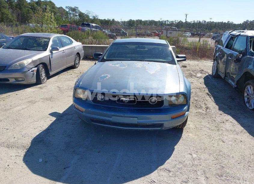 Photo 6 of 2007 Ford Mustang V6 DELUXE/V6 PREMIUM (VIN 1ZVFT80NX75216198)