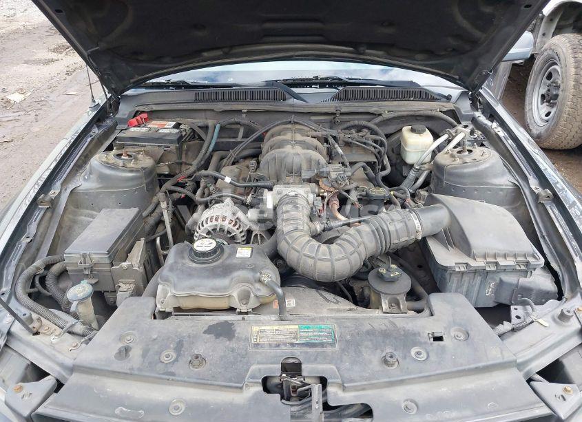 Photo 10 of 2007 Ford Mustang V6 DELUXE/V6 PREMIUM (VIN 1ZVFT80NX75253963)