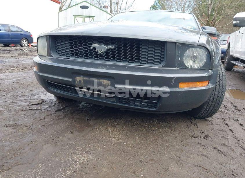 Photo 6 of 2007 Ford Mustang V6 DELUXE/V6 PREMIUM (VIN 1ZVFT80NX75253963)