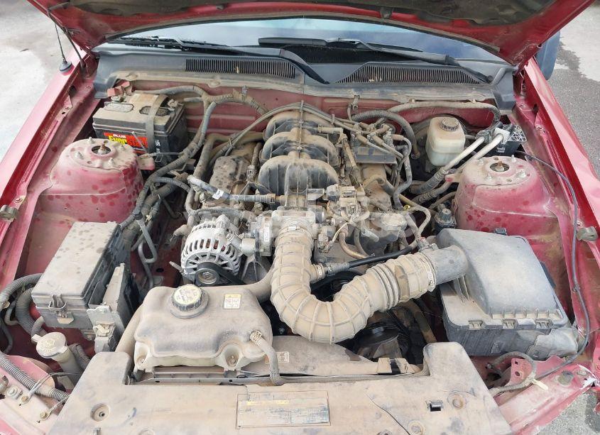 Photo 10 of 2007 Ford Mustang V6 DELUXE/V6 PREMIUM (VIN 1ZVFT80NX75285246)