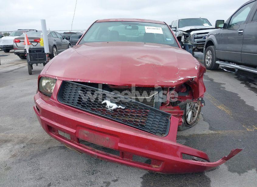 Photo 6 of 2007 Ford Mustang V6 DELUXE/V6 PREMIUM (VIN 1ZVFT80NX75285246)